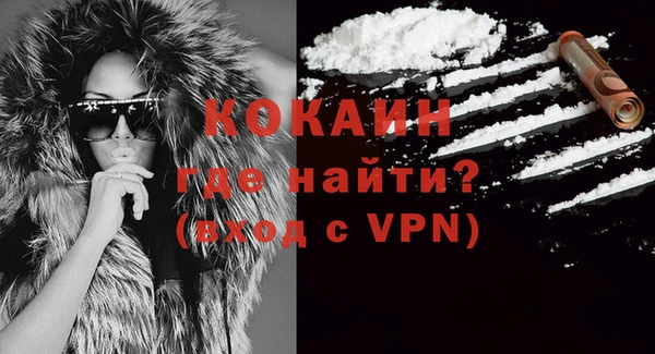 гашик Кулебаки