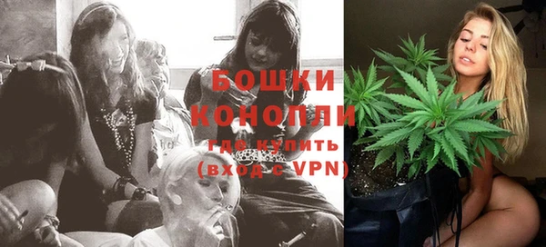 гашик Кулебаки