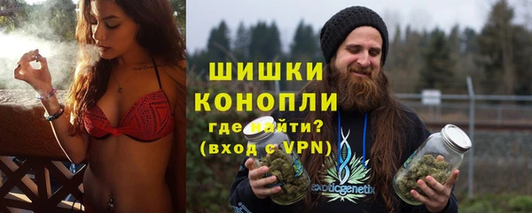 ПСИЛОЦИБИНОВЫЕ ГРИБЫ Краснослободск