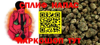 МДПВ Ливны