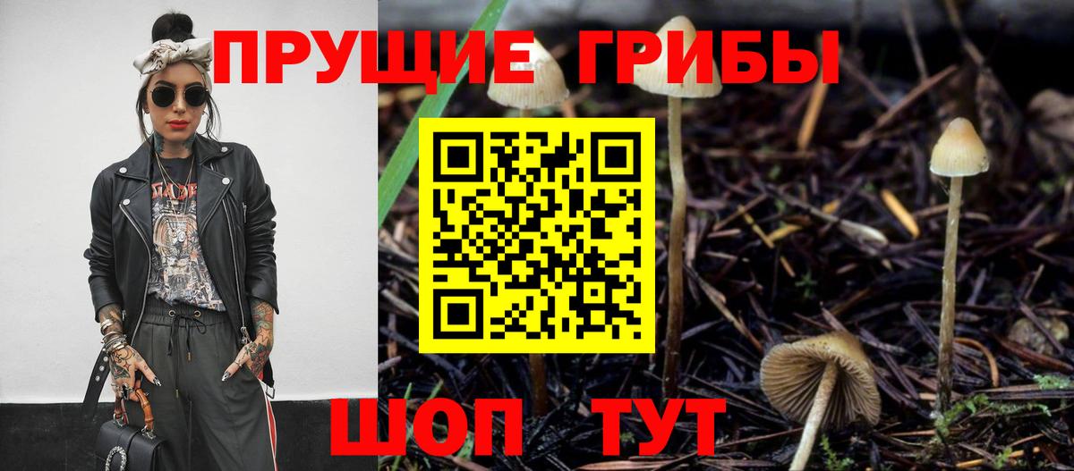 Галлюциногенные грибы ЛСД Усть-Джегута